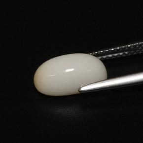 Corallo naturale bianco da 2,81 ct, taglio ovale, opaco