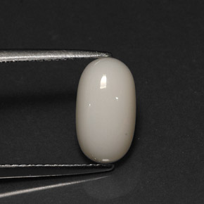 Corallo naturale bianco da 2,78 ct, taglio ovale, opaco
