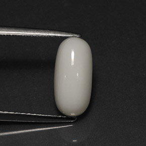Corallo naturale bianco da 2,73 ct, taglio ovale, opaco