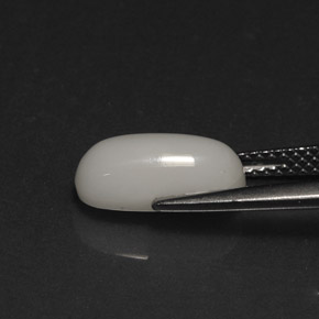 Corallo naturale bianco da 2,73 ct, taglio ovale, opaco