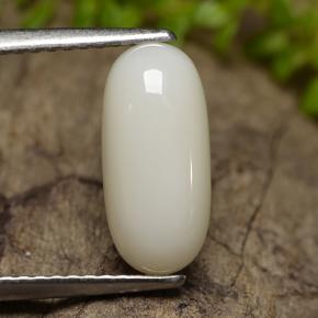Corallo naturale bianco da 2,50 ct, taglio ovale, opaco