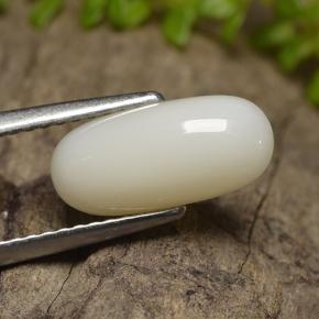 Corallo naturale bianco da 2,50 ct, taglio ovale, opaco
