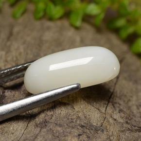Corallo naturale bianco da 2,50 ct, taglio ovale, opaco