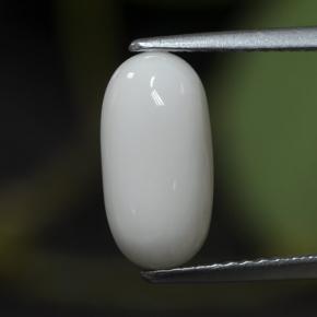 Corallo naturale bianco da 2,63 ct, taglio ovale, opaco