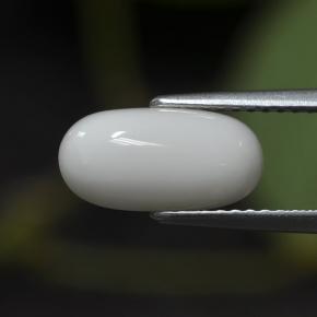 Corallo naturale bianco da 2,63 ct, taglio ovale, opaco