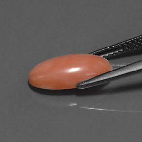 Corallo Bianco salmone naturale da 2.52 ct, Taglio ovale, Opaco