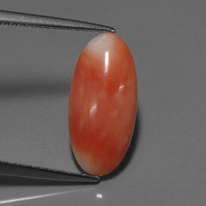 Corallo naturale rosa da 2,55 ct, taglio ovale, opaco