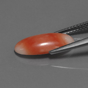 Corallo naturale rosa da 2,55 ct, taglio ovale, opaco
