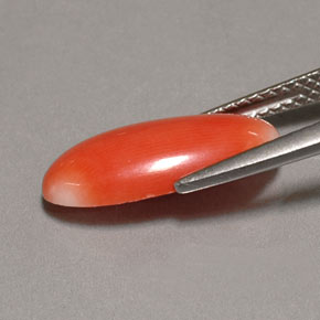 Corallo Bianco salmone naturale da 2.62 ct, Taglio ovale, Opaco