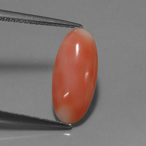 Corallo naturale rosa da 2,03 ct, taglio ovale, opaco