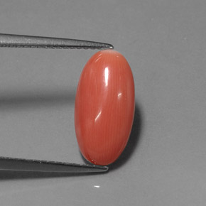 Corallo naturale rosa da 2,76 ct, taglio ovale, opaco