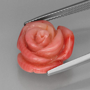 Corallo naturale rosa da 13,65 ct, forma fantasia, opaco