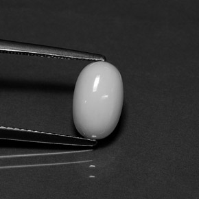 Corallo naturale bianco da 2,29 ct, taglio ovale, opaco
