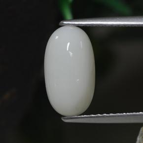 Corallo naturale bianco da 2,30 ct, taglio ovale, opaco