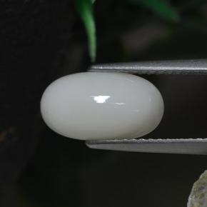 Corallo naturale bianco da 2,30 ct, taglio ovale, opaco