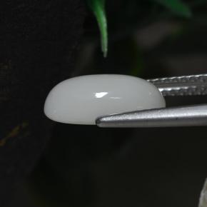 Corallo naturale bianco da 2,30 ct, taglio ovale, opaco