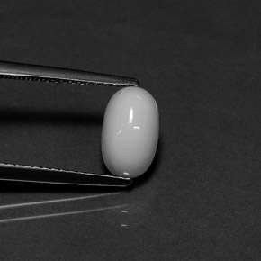Corallo naturale bianco da 1,70 ct, taglio ovale, opaco