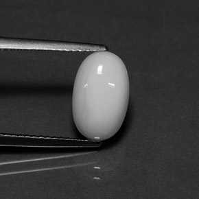 Corallo naturale bianco da 2,54 ct, taglio ovale, opaco