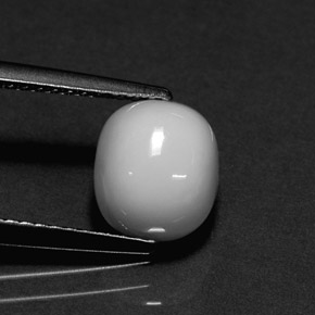 Corallo naturale bianco da 2,26 ct, taglio ovale, opaco
