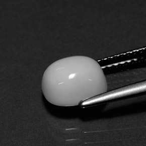 Corallo naturale bianco da 2,26 ct, taglio ovale, opaco
