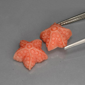 Gemme di Corallo Color salmone naturale da  ct, Forma fantasia, Opaco