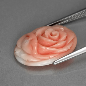 Corallo naturale rosa da 6,20 ct, forma fantasia, opaco