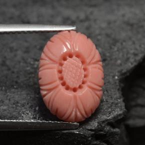 Corallo naturale rosa da 3,66 ct, forma fantasia, opaco