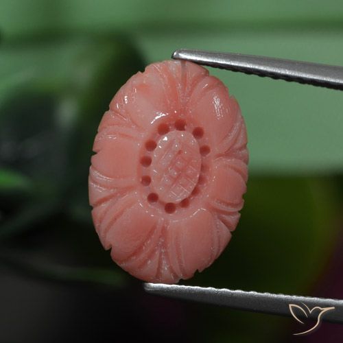 3.19ct Naturale Tono rosa rossastro Corallo, Taglio a fiore, Opaco