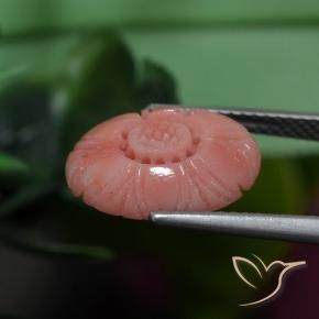 Corallo Tono rosa rossastro naturale da 3.19 ct, Taglio a fiore, Opaco