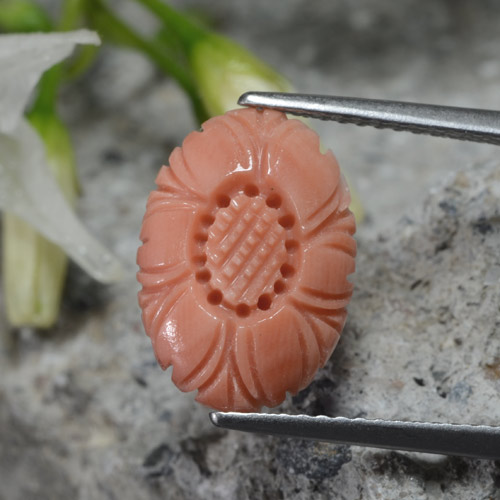 Corallo naturale rosa da 2,80 ct, taglio fiore, opaco