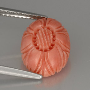 Corallo naturale rosa da 3,24 ct, forma fantasia, opaco
