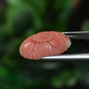 Corallo Tono rosa rossastro naturale da 3.00 ct, Taglio a fiore, Opaco