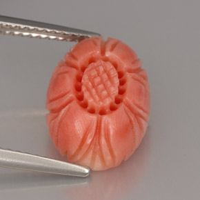 Corallo naturale rosa da 4,16 ct, forma fantasia, opaco