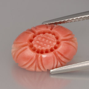 Corallo naturale rosa da 4,16 ct, forma fantasia, opaco