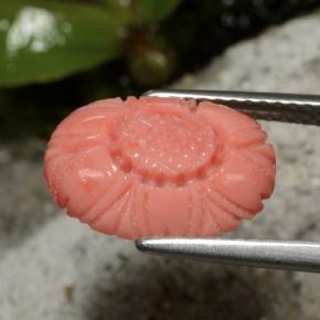 Corallo naturale rosso da 3,10 ct, taglio fiore, opaco