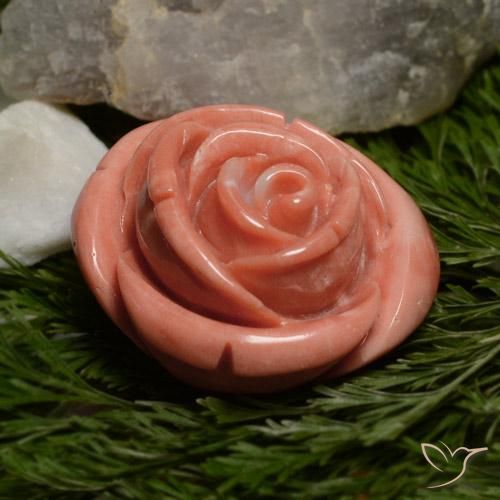 Corallo Rosa medio naturale da 31.12 ct, Taglio a fiore, Opaco
