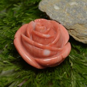 Corallo naturale rosa da 23,75 ct, forma fantasia, opaco