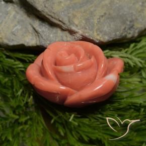 Corallo Rosa salmone intenso naturale da 18.78 ct, Taglio a fantasia, Opaco