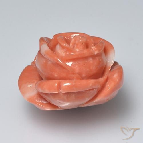 Corallo Rosa medio naturale da 19.58 ct, Taglio a fiore, Opaco