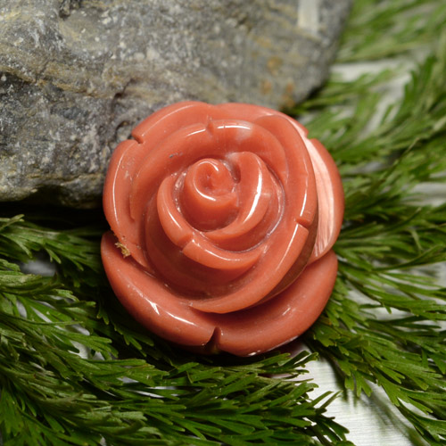 Corallo Rosa medio naturale da 18.58 ct, Forma fantasia, Opaco