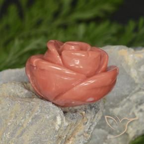 Corallo Salmon Pink   naturale da 14.58 ct, Taglio a fantasia, Opaco