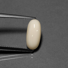 Corallo naturale bianco da 2,41 ct, taglio ovale, opaco