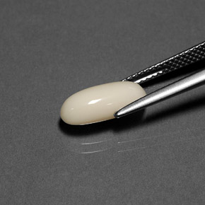 Corallo naturale bianco da 2,41 ct, taglio ovale, opaco