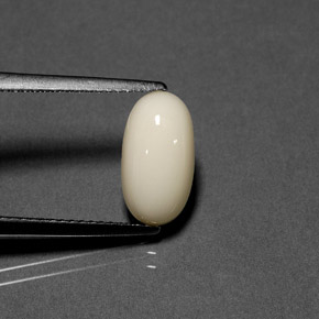 Corallo Bianco naturale da 2.23 ct, Taglio ovale, Opaco