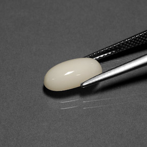 Corallo Bianco naturale da 2.23 ct, Taglio ovale, Opaco