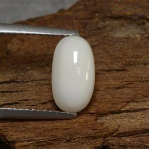 Corallo Bianco grigiastro chiaro naturale da 2.27 ct, Taglio ovale, Opaco