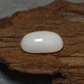 Corallo Bianco grigiastro chiaro naturale da 2.27 ct, Taglio ovale, Opaco