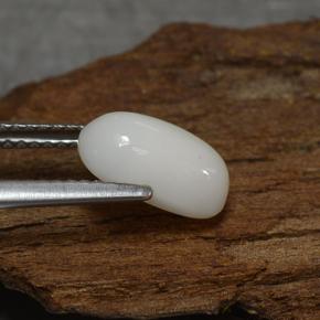 Corallo Bianco grigiastro chiaro naturale da 2.27 ct, Taglio ovale, Opaco