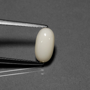 Corallo naturale bianco da 1,84 ct, taglio ovale, opaco