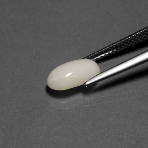Corallo naturale bianco da 1,84 ct, taglio ovale, opaco